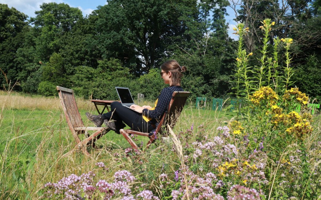 Eine Frau sitzt mit aufgeklapptem Laptop in einer Blumenwiese